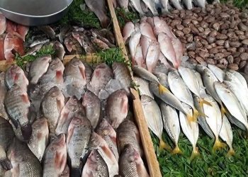 أسعار الأسماك في سوق العبور اليوم السبت