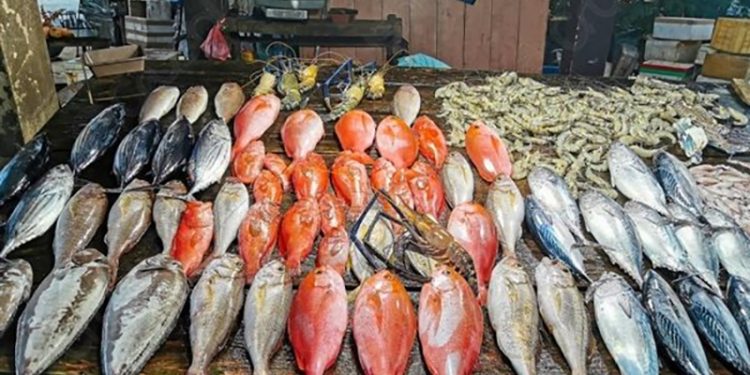 أسعار الأسماك في سوق العبور اليوم السبت