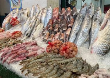 أسعار الأسماك في سوق العبور اليوم الثلاثاء
