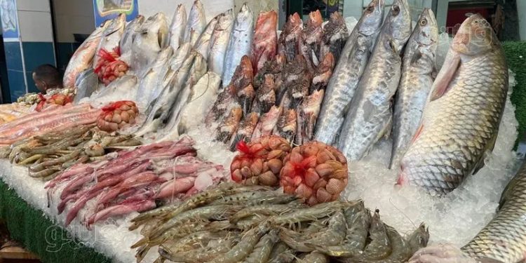 أسعار الأسماك في سوق العبور اليوم الثلاثاء