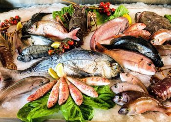 أسعار الأسماك في سوق العبور اليوم الثلاثاء