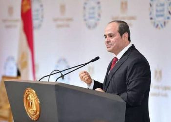 الرئيس السيسي: الذكاء الاصطناعى والرقمنة مجالات رئيسية فى عملية التنمية