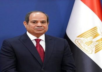 الرئيس السيسى يؤكد استعداد مصر لنقل خبراتها التنموية لزامبيا