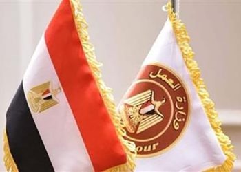 1575 فُرصة عمل جديدة في 48 شركة خاصة بـ 12 مُحافظة