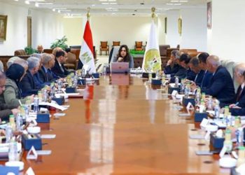 وزيرة التنمية المحلية تتابع مع سكرتيري عموم المحافظات الاستعدادات الجارية لإطلاق عدد من القوافل الإنسانية لدعم الأشقاء الفلسطينيين