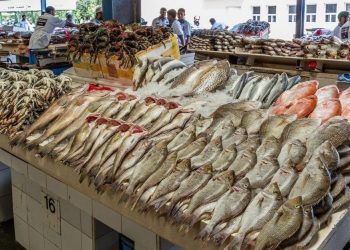 أسعار الأسماك في سوق العبور اليوم الخميس