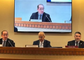 وزير المالية يطرح أولويات معالجة تحديات الديون وتمويل التنمية بأفريقيا فى نيويورك