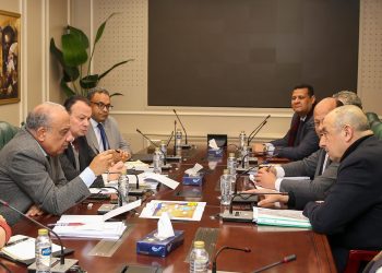 وزيرا الكهرباء وقطاع الأعمال يبحثان سبل التعاون في مجال الطاقة المتجددة والتحول الأخضر