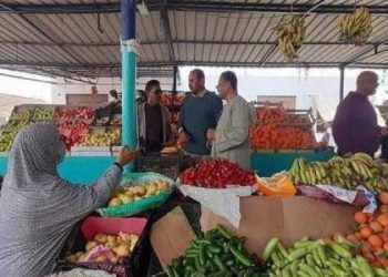 أسعار الخضار والفاكهة اليوم الثلاثاء