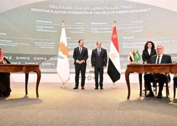 الرئيس السيسي ونظيره القبرصي يشهدان توقيع عدد من اتفاقيات التعاون في مجال الطاقة