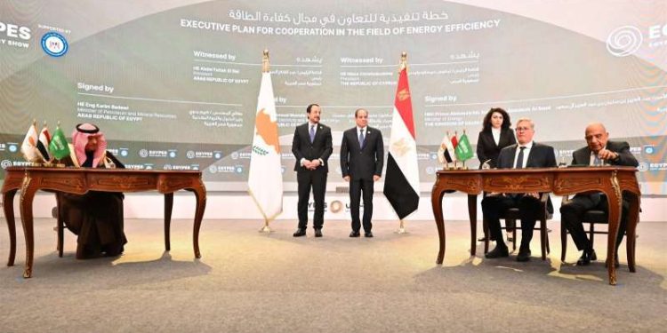 الرئيس السيسي ونظيره القبرصي يشهدان توقيع عدد من اتفاقيات التعاون في مجال الطاقة