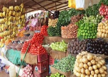 أسعار الخضار والفاكهة اليوم الخميس