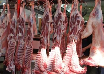 أسعار اللحوم الحمراء اليوم الأحد