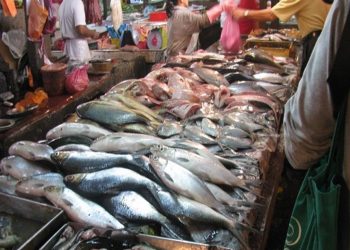 أسعار الأسماك في سوق العبور اليوم الإثنين