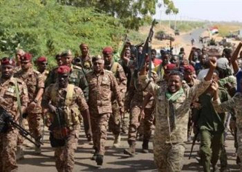 الجيش السوداني: التصدي لهجوم بمسيرات من ميليشيا الدعم السريع على مروي