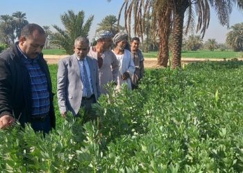 الزراعة تقدم الدعم الفني لمزارعي المحاصيل الاستراتيجية في أسوان
