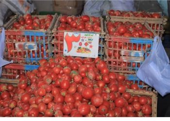 افتتاح سوق اليوم الواحد بمدينة سوهاج للمرة الثالثة على التوالي 