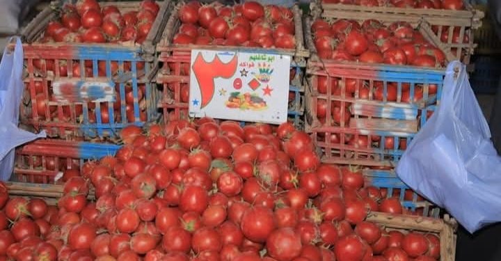 افتتاح سوق اليوم الواحد بمدينة سوهاج للمرة الثالثة على التوالي 