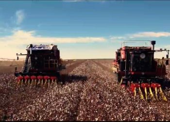 رائد أعمال مصري يبتكر أول تقنية للملابس الذكية تبرد كل جزء من الجسم على حدى 