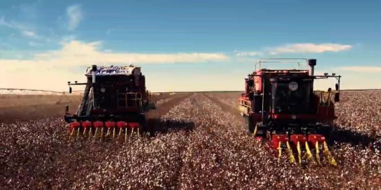 رائد أعمال مصري يبتكر أول تقنية للملابس الذكية تبرد كل جزء من الجسم على حدى