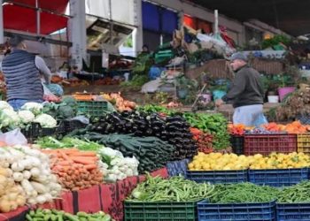 أسعار الخضار والفاكهة اليوم الثلاثاء