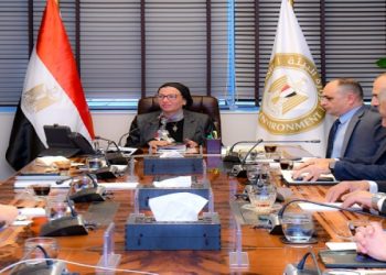 وزيرة البيئة تبحث مع نائب رئيس الشركة البريطانية للبترول بمصر BP تنفيذ مشروعات الغاز الطبيعي المتجدد في مصر
