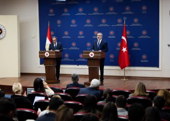 بيان مشترك بين وزيري خارجية مصر وتركيا