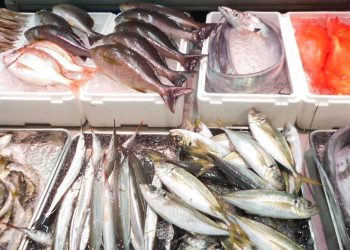 أسعار الأسماك في سوق العبور اليوم الإثنين