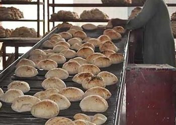 حصة المخابز