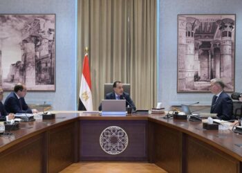 مدبولي يتابع عددًا من ملفات العمل المشتركة بين وزارتي المالية والبترول