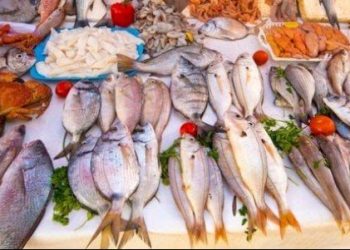 ارتفاع أسعار السمك في مصر اليوم الأربعاء 5 مارس 2025