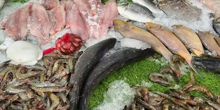 أسعار الأسماك