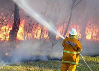 حرائق غابات لونج آيلاند