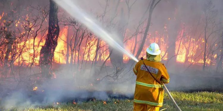 حرائق غابات لونج آيلاند حرائق غابات لونج آيلاند