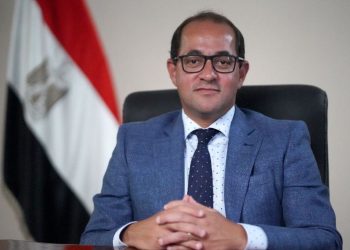 وزير المالية:  مليار جنيه بالموازنة الحالية لتمويل «استراتيجية توطين صناعة السيارات» بمصر