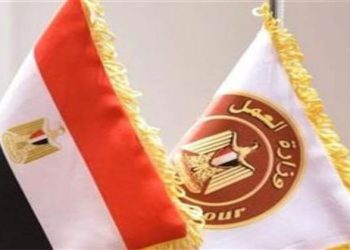 وزارة العمل تعلن عن وظائف خالية بمرتبات تصل إلى 9400 جنيه