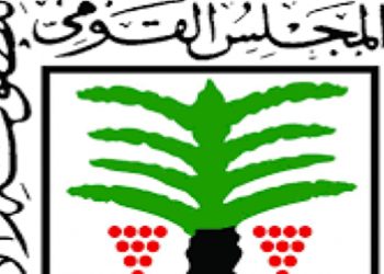 الطفولة والأمومة