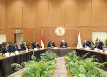 وزير التعليم العالي يترأس اجتماع مجلس أمناء جامعة جنوب الوادي الأهلية