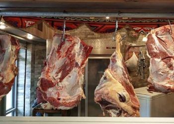 أسعار اللحوم الحمراء اليوم الثلاثاء