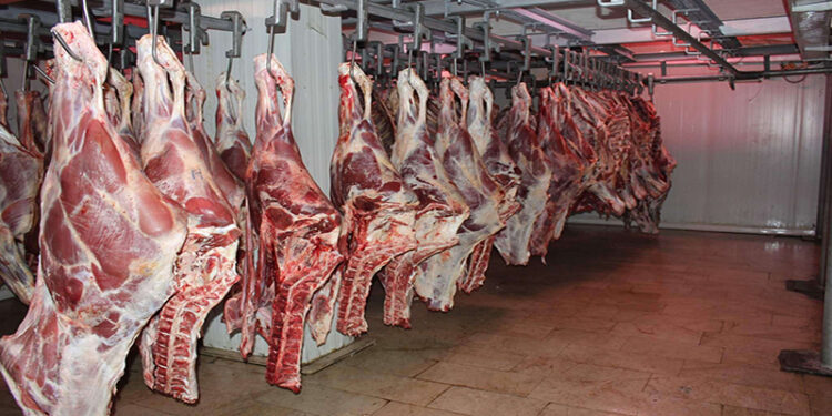أسعار اللحوم الحمراء اليوم الثلاثاء