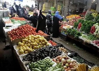 أسعار الخضار