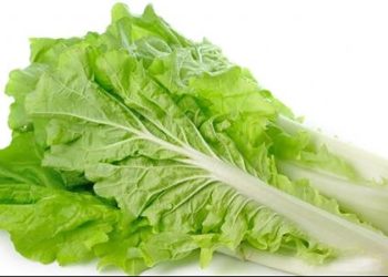 7 مزايا صحية عند تناول الخس على السحور