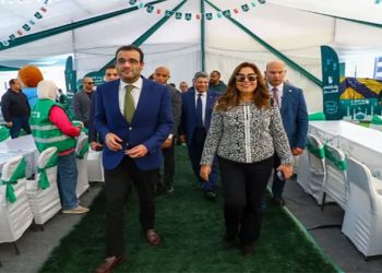 وزيرة التنمية