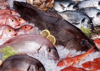 تقلبات أسعار الأسماك والجمبري في سوق العبور.. اليوم الإثنين 3 مارس 2025