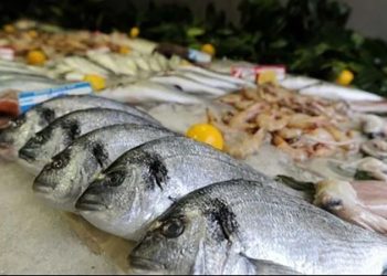 أسعار الأسماك في سوق العبور اليوم الثلاثاء