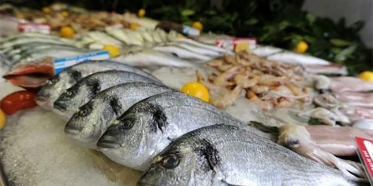 أسعار الأسماك في سوق العبور اليوم الثلاثاء