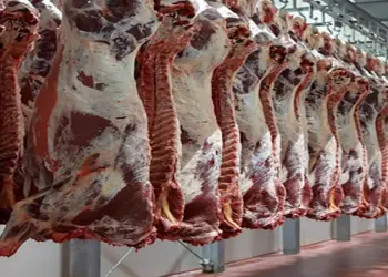 أسعار اللحوم الحمراء اليوم الأحد