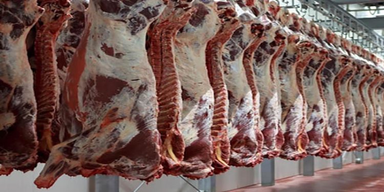 أسعار اللحوم أسعار اللحوم الحمراء اليوم الأحد