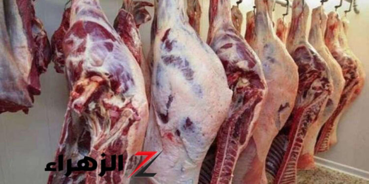 أسعار اللحوم الحمراء اليوم الأحد