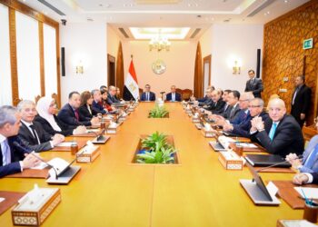 إجتماع تنسيقي بين وزارتى الخارجية والاستثمار لدعم الاقتصاد الوطنى